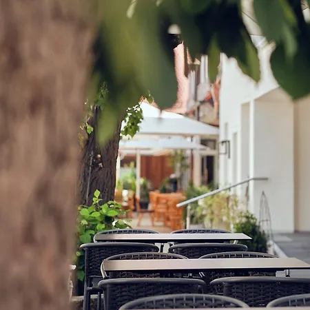 Hotel Landgasthof Rittmayer Hallerndorf