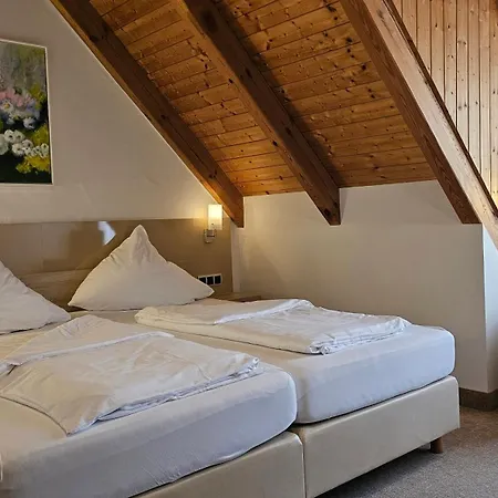 Landgasthof Rittmayer Hotel Hallerndorf
